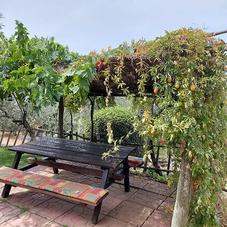 Holiday home Carducci Castagneto Carducci