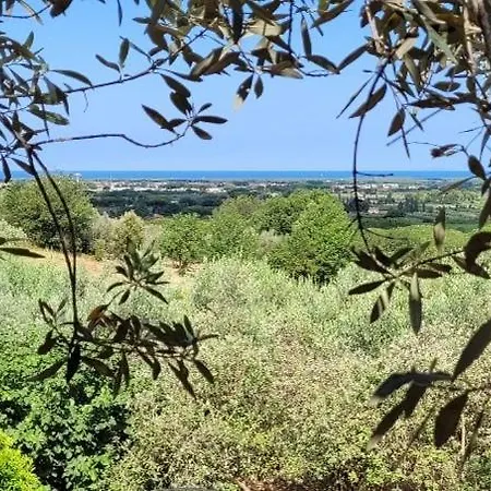 Carducci Holiday home *
