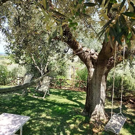 Carducci * Castagneto Carducci