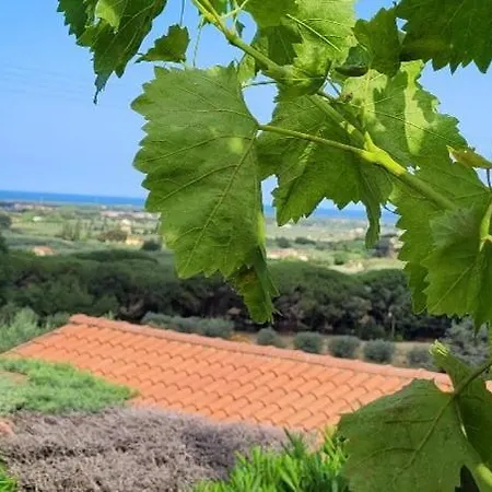 Holiday home Carducci